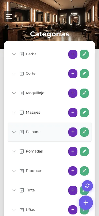 Lista de categorías en vista móvil