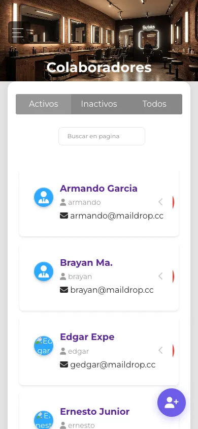 Lista de colaboradores en vista móvil